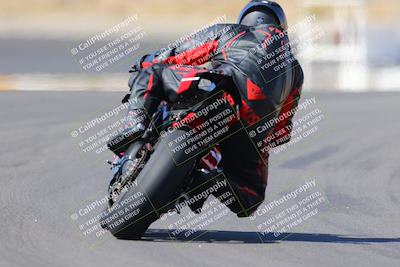 media/Oct-08-2022-SoCal Trackdays (Sat) [[1fc3beec89]]/Turn 11 Backside (1145am)/